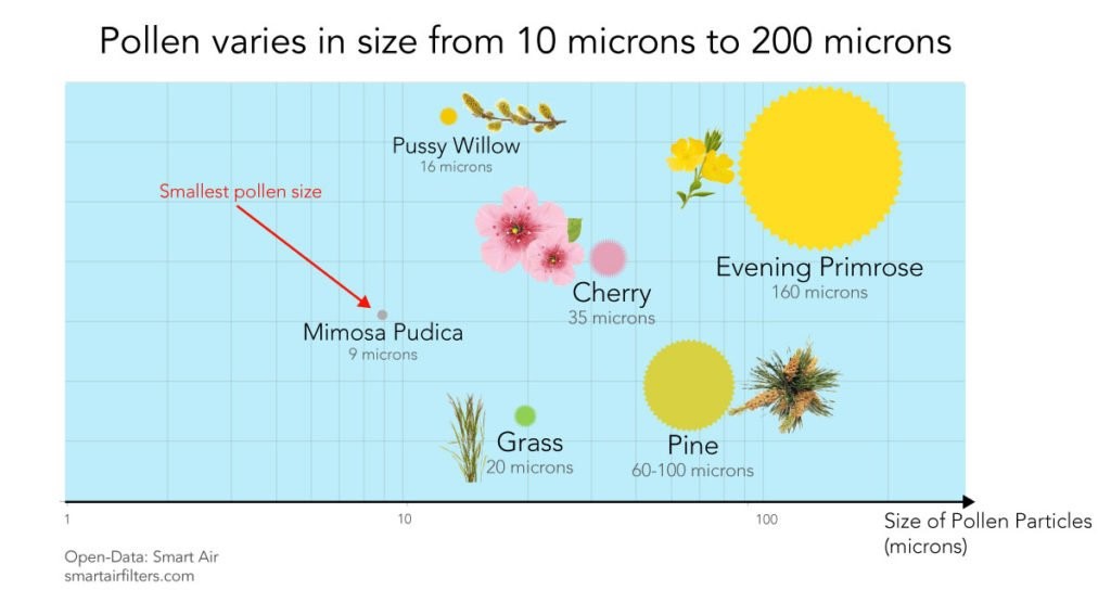 Allergies Relief with Air purifiers: Pollen varies ins size from 10 microns to 200 microns